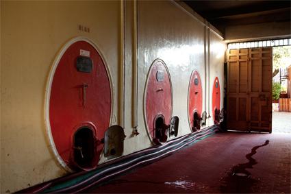 cantina1