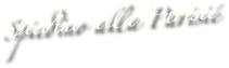 Spiedino alla Parisi
